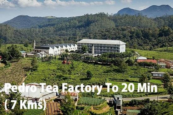 Mount View Cottage Nuwara Eliya Ngoại thất bức ảnh
